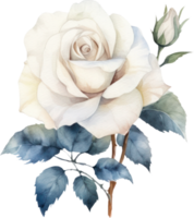 White Rose Flower Watercolor. AI Generated png