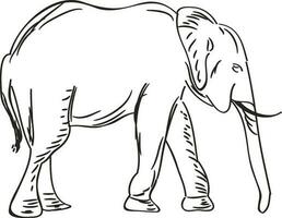 Vector illustration of elephant sketch.