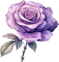 roxa rosa flor aquarela. ai gerado png