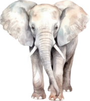 l'éléphant aquarelle illustration. ai généré png