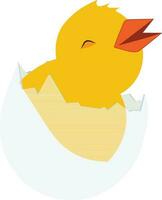 Newborn chiken in broken egg shell. vector