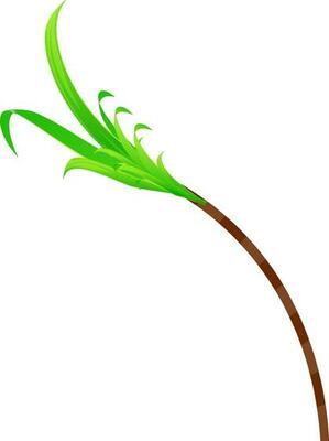 Isolated illustration of sugarcane.