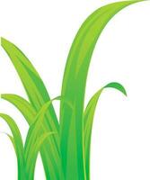 Vector illustration of green grass icon.