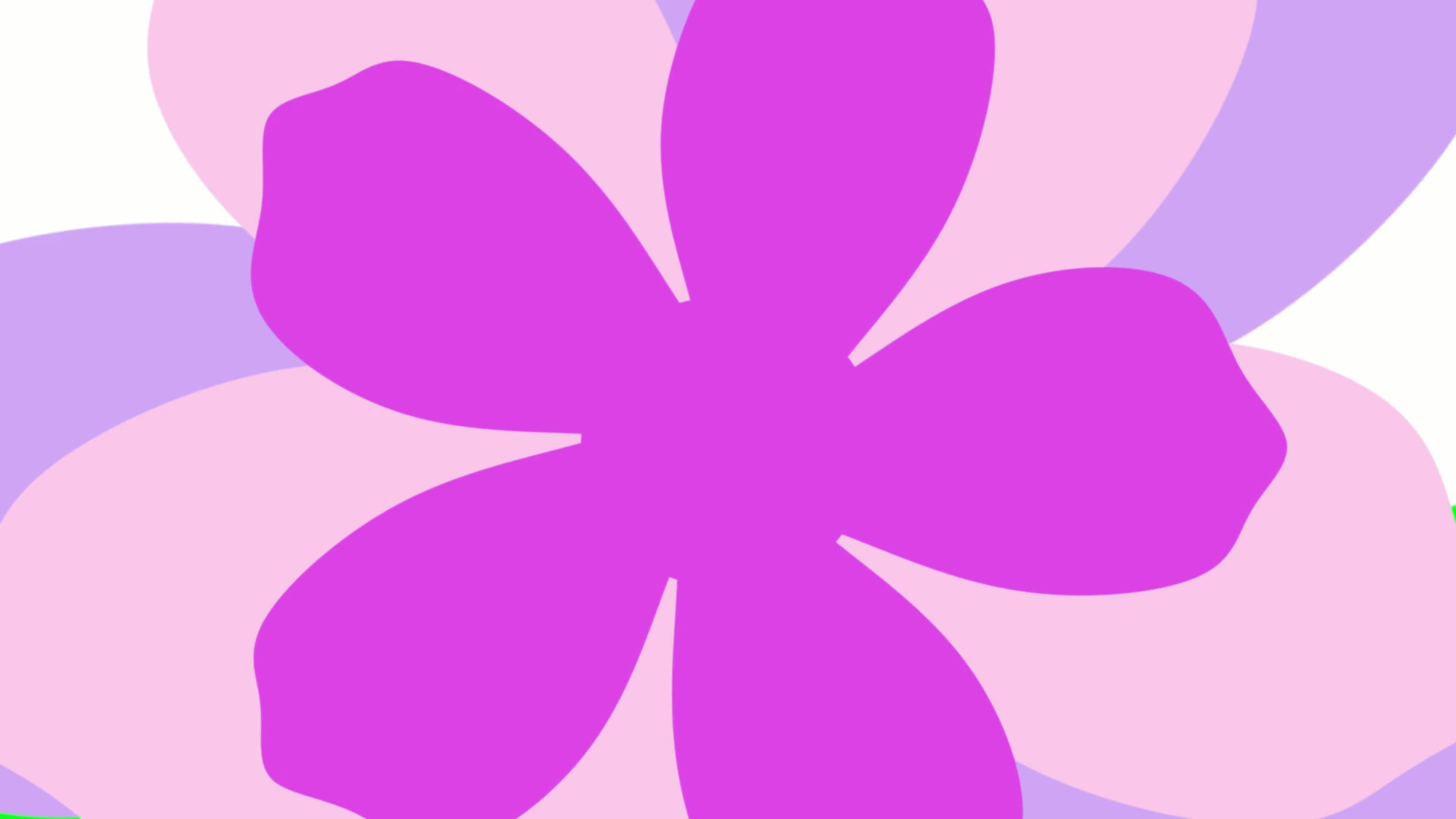 Flower animation video transition with green screen background 24832893