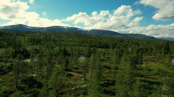 Scenic landscape in Norway video