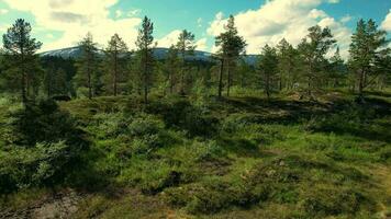 Scenic landscape in Norway video