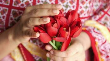 Woman's hand holding tulip flower on pink background video