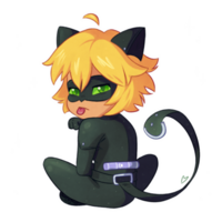 Miraculous Tales Of Ladybug Cat Miraculous Tales Of Ladybug Cat Noir png