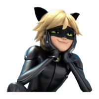 chatnoir catnoir wonderbaarlijk lieveheersbeestje adrien schattig png