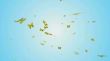 gouden vlinders vallend van de lucht. looping vol hd natuur beweging achtergrond. video