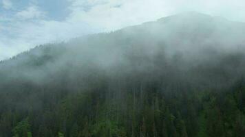 fliegend durch das Wolken, schließen zu das Felsen. hoch Tatra, Slowakei video