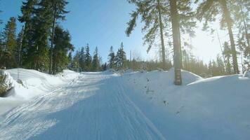 Aerial view of the spruce and snowy landscape around. Mountains visible in the distance video