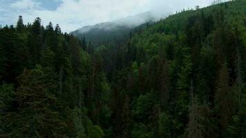 Flying through the clouds, close to the rocks. High Tatras, Slovakia video