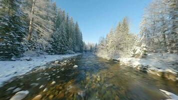 Winter in the mountains. Aerial view of the snow-covered coniferous forest on the slopes of the mountains, the river and video