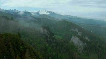 Flying through the clouds, close to the rocks. High Tatras, Slovakia video