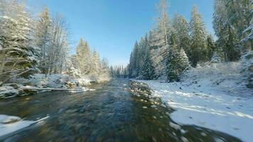 inverno dentro a montanhas. aéreo Visão do a coberto de neve conífero floresta em a declives do a montanhas, a rio e video