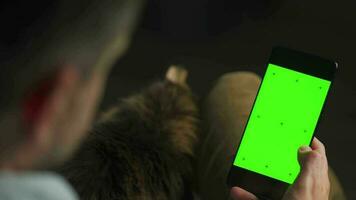 Man using smartphone with green mock-up screen in vertical mode and stroking the fluffy cat. Man browsing Internet video