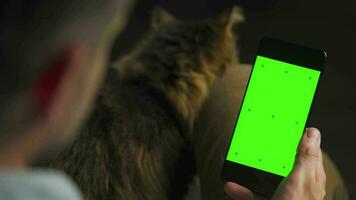 Man using smartphone with green mock-up screen in vertical mode and stroking the fluffy cat. Man browsing Internet video