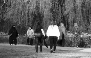 maravilloso negro y blanco imagen de personas caminando a Wardown público parque de lutón pueblo de Inglaterra Reino Unido durante puesta de sol. el imagen estaba capturado en 25-may-2023 foto