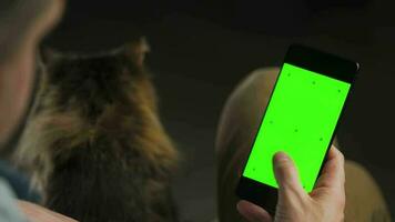 Man using smartphone with green mock-up screen in vertical mode and stroking the fluffy cat. Man browsing Internet video