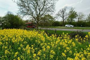 Low Angle Footage of British Agricultural farms When Beautiful Yellow Flowers on Green Plants are Coming out by Nature. Beautiful Scenery Was Captured on 23-April-2023 at Close to Bedford photo