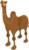 Illustration of a camel. vector