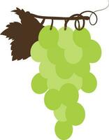 Illustration of grapes icon for agriculture. vector