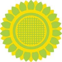 Green and yellow color of sunflower icon in illustration. vector