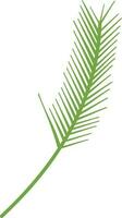 Illustration of a palm leaf. vector