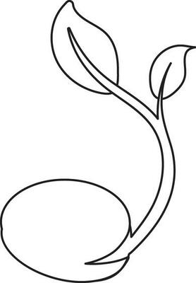 Seed icon with growing in stroke style.