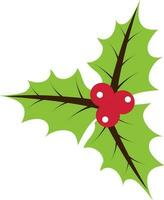 Illustration of christmas hollies with leaves. vector