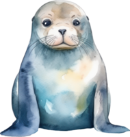 Sealion Watercolor Illustration. AI Generated png