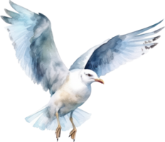 Seagull Watercolor Illustration. AI Generated png