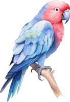 Parrot Bird Watercolor Illustration. AI Generated png