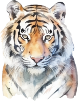 Tiger Watercolor Illustration. AI Generated png