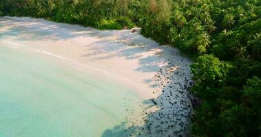 aéreo zumbido ver de el tropical playa con claro turquesa mar, blanco arena y palma árbol video