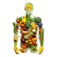 frisch Essen im Mensch Körper, Ernährung zum menschlich, Mensch Körper gemacht von Gemüse und Früchte isoliert auf transparent Hintergrund. gesund Essen Konzept generativ ai. png
