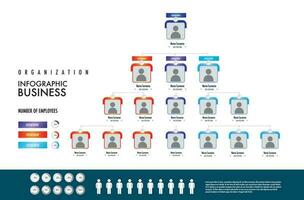 Infographic for business organization chart model department template, percentage, and number of employees vector