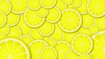 Sliced oranges background video and transition.