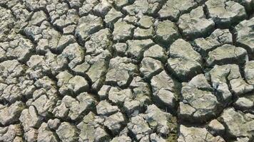 een droogte is een periode van droger dan normaal conditie. droog gebarsten aarde grond.natuurlijk droogte.gebarsten bodem gemaakt textuur. video