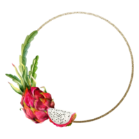 or rond Cadre avec aquarelle rose dragon fruit tranches et cactus feuilles pour autocollants, vente coupons ou mariage invitation png