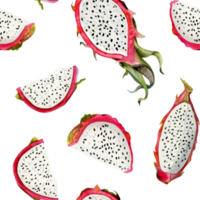 rosado continuar frutas sin costura modelo con acuarela pitaya dibujos. mano dibujado ilustración para verano menús, telas, tropical diseños png