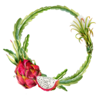 Botanical round frame with watercolor pink dragon fruit slices, flower and cactus leaves for stickers, sale coupons or wedding invitation png