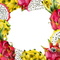 rot Rosa und Gelb Drachen Früchte Scheiben Platz Rahmen mit Kopieren Raum. Aquarell Pitahaya Illustration. botanisch Vorlage zum Werbung png