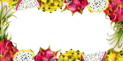 rosado y amarillo continuar frutas rebanadas y flores horizontal marco con Copiar espacio. acuarela pitahaya ilustración. botánico modelo para anuncio png