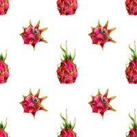 rosado rojo continuar frutas sencillo sin costura modelo con acuarela pitaya dibujos. mano dibujado minimalista botánico ilustración para verano menús, telas, tropical diseños png