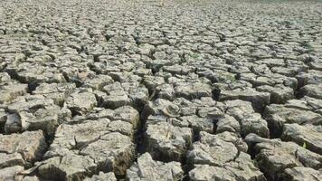 een droogte is een periode van droger dan normaal conditie. droog gebarsten aarde grond.natuurlijk droogte.gebarsten bodem gemaakt textuur. video