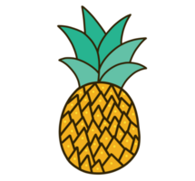 ananas kunst illustratie png