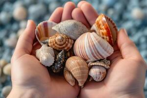 Person holding a collection of seashells. Generative AI photo