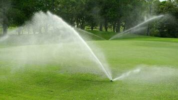 automatico alta pressione acqua spruzzatore a verde golf corso irrigazione il erba video